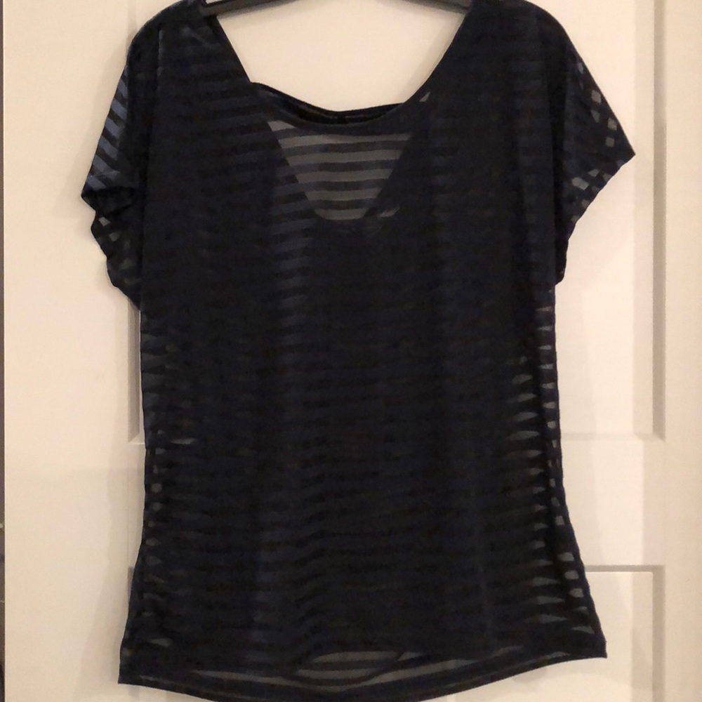 🆕 NWT The Limited Sheer Blue Striped Blouse